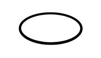 AquaStar ProStar O-Ring for Leaf Catcher | HWN282
