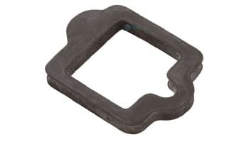 Pentair IntelliFlo Drive Gasket | 350108