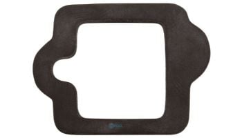 Pentair IntelliFlo Drive Gasket | 350108