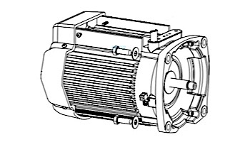 Pentair TEFC Motor W/O Drive | Almond | 353134S