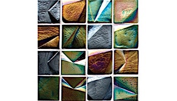 National Pool Tile Spectra 1 3/8 x 1 3/8 Glass | Harlequin | OCN-HARLEQUIN