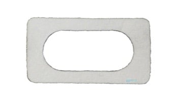 Pentair MasterTemp Electrical System Igniter Gasket | 42001-0066S