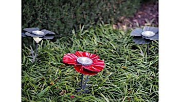 Desert Steel Poppy Solar Garden Light | Bronze | 409-309