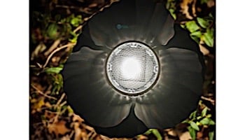 Desert Steel Poppy Solar Garden Light | Bronze | 409-309