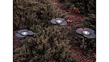 Desert Steel Poppy Solar Garden Light | Bronze | 409-309