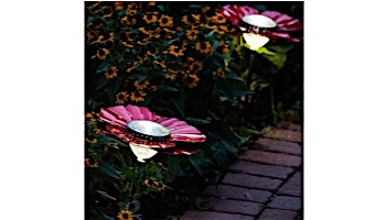 Desert Steel Poppy Solar Garden Light | Red | 409-310