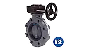 Hayward BYV Series 8" Butterfly Valve Gear Operated | BYV11080A0EG000
