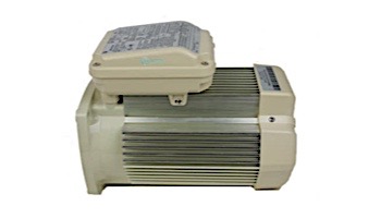 Pentair Replacement Single Speed TEFC Super-Duty Motor | 56 Frame | 208/230V 2HP | Almond | 354815S