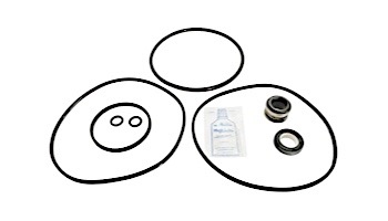 Aladdin Go Kit for Jacuzzi R/RC Series Pump | Seals & Gaskets GO-KIT15 | APCK1008