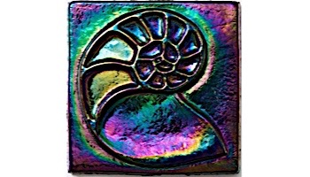 National Pool Tile OceanScape 4x4 Nautilus Deco | Rainbow Nautilus | OCN-RNNAUTILUS
