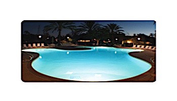 J&J Electronics PureWhite VU Nicheless LED Pool and Spa Light Fixture | 8W 12V 150' Cord | LPL-R1W-12-150 25003