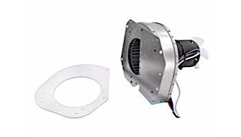 Raypak D-2 Power Vent Blower | 008156F