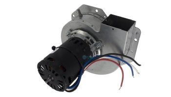 Raypak D-2 Power Vent Blower | 008156F