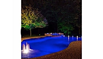 Hayward ColorLogic Bubbler with ColorLogic 320 LED Light | 100' Cord | WFBCUS1100