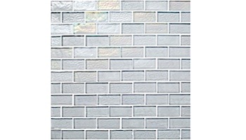 National Pool Tile Sea Ice Series 1x2 Glass Tile | Silver | ICE-SILVER1X2