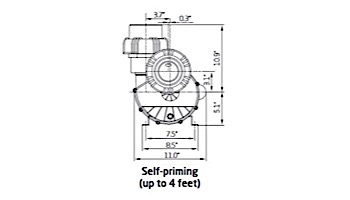 Speck Pump 21-80/33 GS Series 4HP Self-Priming Pump | 208-230V | SA104-1400F-000
