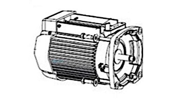 Pentair Motor Package without Drive TEFC | Black | 353135S