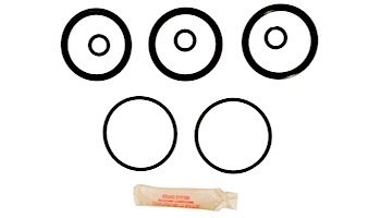 Aladdin Go Kit for Anthony 2" Plastic Slide Valve | Seals & Gaskets GO-KIT7 | APCK1068