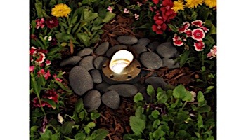 FX Luminaire FC Well Light | Camo Bronze | 5 Watt | Zone Dimming | Cowling | FCZD35WFLCWCB