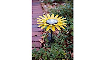 Desert Steel Daisy Solar Garden Light | Yellow | 409-301