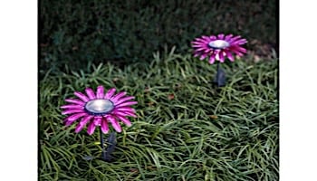 Desert Steel Daisy Solar Garden Light | Pink | 409-302