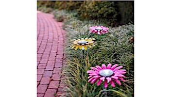 Desert Steel Daisy Solar Garden Light | Pink | 409-302