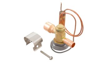 Hayward Expansion Valve 6 Ton | SMX15024595
