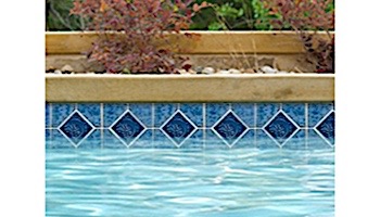 National Pool Tile Tropics Series Dolphin  | Aqua | TRO-AQUA DOL