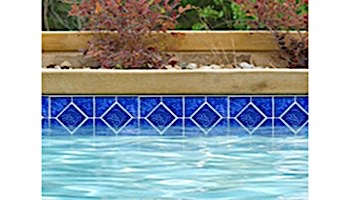 National Pool Tile Tropics Series Dolphin  | Cobalt | TRO-COBALT DOL