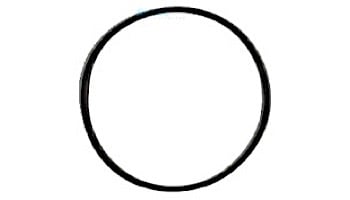 Neptune-Benson CCFG Filter Threaded Lid O-Ring Gasket | L600110LIDORNG | 1000-8282