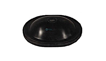 Neptune-Benson CCFG Filter Legacy Lid | 11072