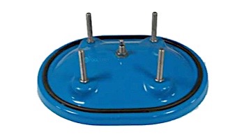 Neptune-Benson CCFG Filter Manhole Cover | 170DMCVRP2