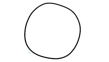 Aladdin PacFab O-Ring 20" 195008 / ANTHONY | O-200-9