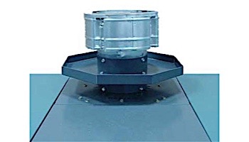 Raypak D-11 Outdoor Top 8" | 010795