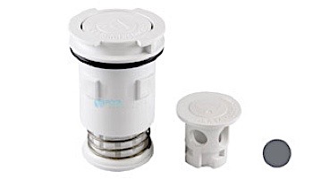 Pentair In-Floor formerly A&A Manufacturing G4 Internal Heads Adjustable Oriffice | White | 565642 | 232201