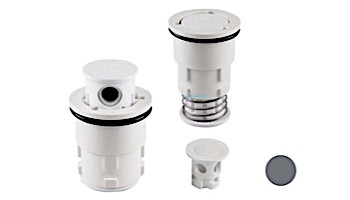 Pentair In-Floor formerly A&A Manufacturing G2 Retro Internals with Variable Flow Orifices | Dark Gray | 566987 | 236683