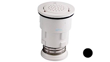 Pentair In-Floor formerly A&A Manufacturing G2V Retro Internals | Black | 566944 | 236744