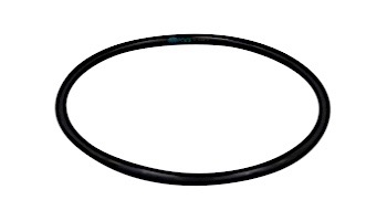 Pentair In-Floor formerly A&A Manufacturing LeafVac Debris O-Ring | 523979 | 219001