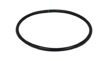 Pentair In-Floor formerly A&A Manufacturing LeafVac Debris O-Ring | 523979 | 219001