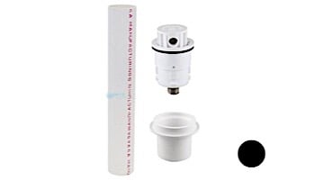 Pentair In-Floor formerly A&A Manufacturing Style 2 Low Flow Complete Head | Black | 523581 | 229244