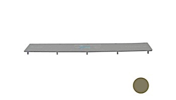 Pentair In-Floor formerly A&A Manufacturing AVSC Standard Top Cover Only | Gold | 556113 | 295308