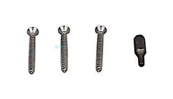 Pentair In-Floor formerly A&A Manufacturing PDR2 Main Drain Stainless Steel Screws | Set of 3 with Tool | 562011 | 290220
