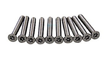Pentair In-Floor formerly A&A Manufacturing AVSC Stainless Steel 316 Screws | Set of 10 with Tool | 559656 | 295314