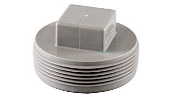 Pentair In-Floor formerly A&A Manufacturing 2" Tapered Pipe Thread Pressure Plug | 574901 | 290010