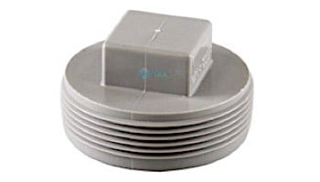 Pentair In-Floor formerly A&A Manufacturing 2" Tapered Pipe Thread Pressure Plug | 574901 | 290010