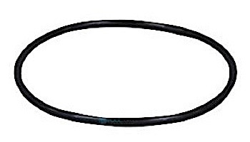 Pentair In-Floor formerly A&A Manufacturing LeafVac Union O-Ring | 552913 | 219400