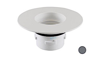 Pentair In-Floor formerly A&A Manufacturing Turbo Clean Adapter | Gray | 556551 236910