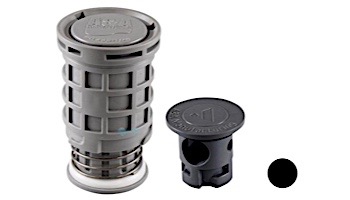 Pentair In-Floor formerly A&A Manufacturing Blue Square Q360 Retro Internal with Variable Flow Orifices | Black | 574987 236694