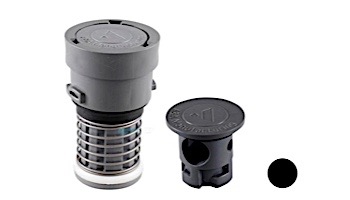 Pentair In-Floor formerly A&A Manufacturing Caretaker Retro Internal with Variable Flow Orifices | Black | 567429 236714