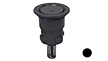 Pentair In-Floor formerly A&A Manufacturing Paramount Pool Valet PVR 1/4" Retro Internal | Black | 567533 230734